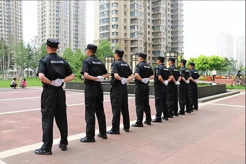 保安個(gè)人行為風(fēng)波后的物業(yè)管理反思 服務(wù)邊界與社區(qū)和諧